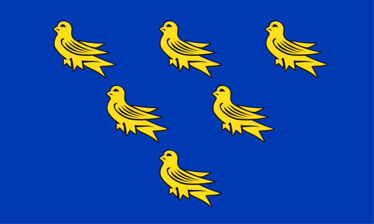Image result for Flag of Sussex England